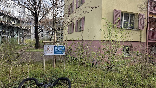 Wohnstadt: Papageienhäuser